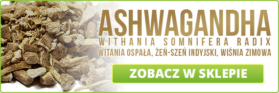 Ashwagandha - 100g Wzmocnienie Regeneracja